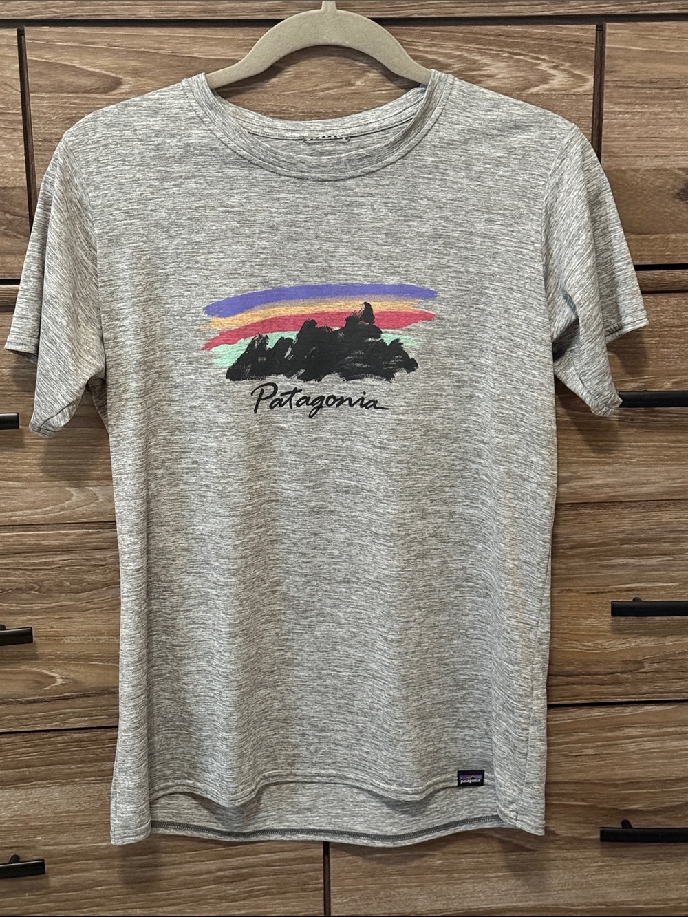 Patagonia Capilene Cool Daily Graphic Shirt Size Medium Feather Grey